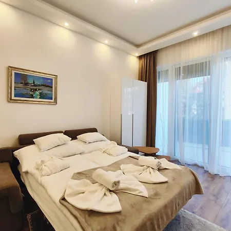 Carbona Water Lily *