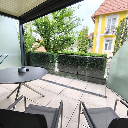 Carbona Water Lily *